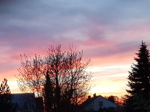 Sonnenuntergang mit bunten Wolken, silhouetten von Bäumen und Häusern im Vordergrund.