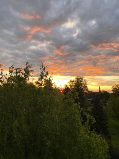 Sonnenuntergang über einer bewaldeten Landschaft mit beigen und orangefarbenen Wolken.